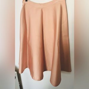 Rose Pink Fit and Flare Skirt